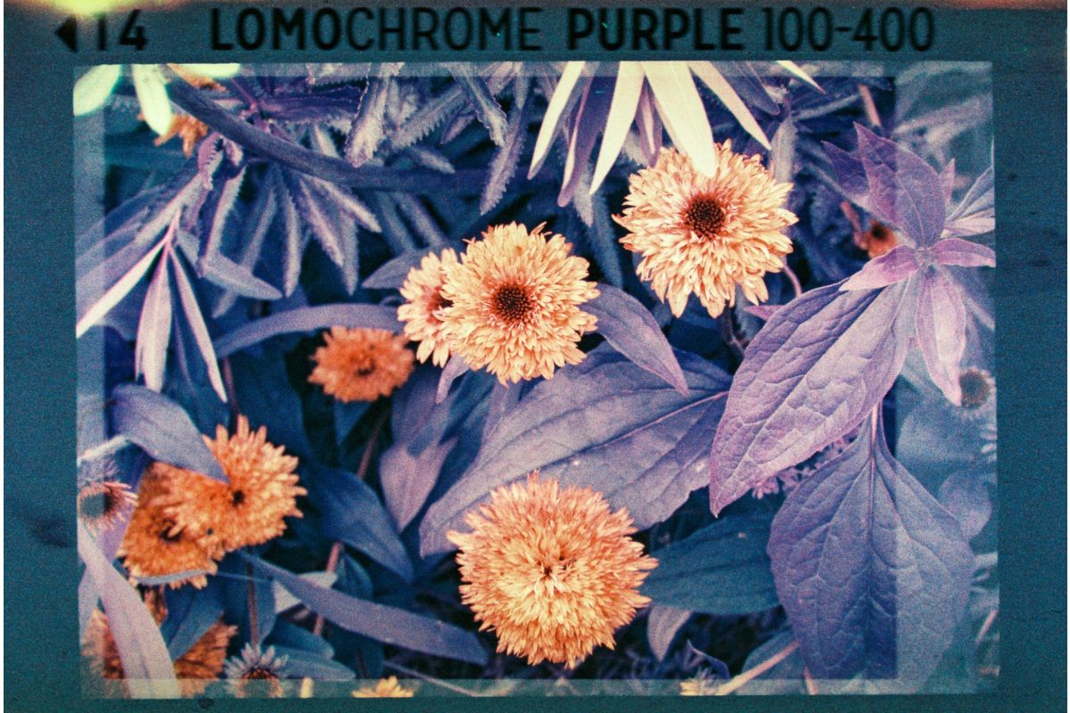 Analogue Pocket Trio 110 - Image 7