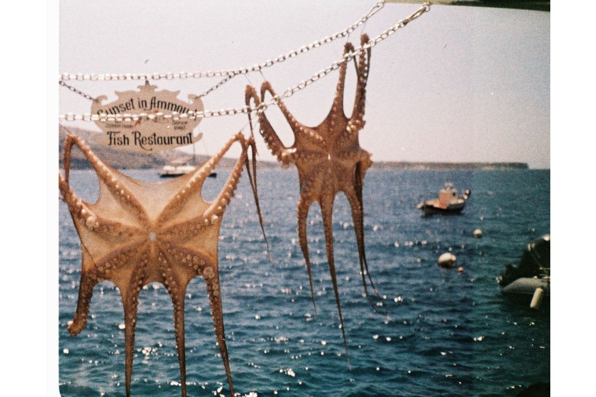 Analogue Pocket Trio 110 - Image 8